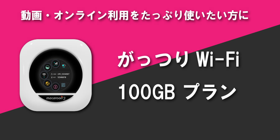 がっつりWi-Fi 100GB プラン
